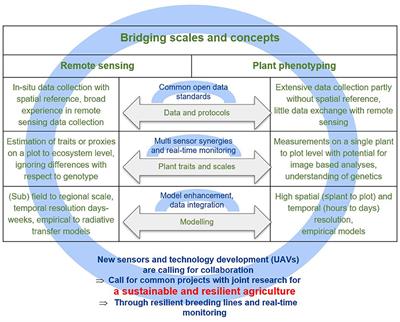 Bridging the Gap Between Remote Sensing and Plant Phenotyping—Challenges and Opportunities for the Next Generation of Sustainable Agriculture